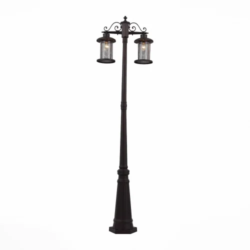 Парковый светильник LASTERO SL080.425.02 St-Luce уличный IP44 коричневый 2 лампы, плафон прозрачный в стиле кантри E27 фото 2