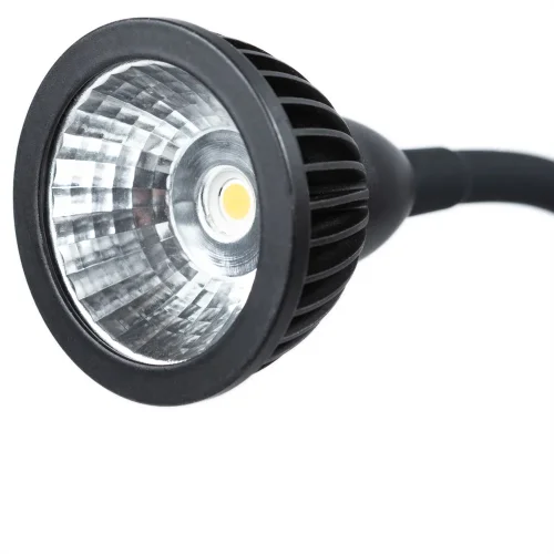 Бра с выключателем LED  A4107AP-1BK Arte Lamp чёрный на 1 лампа, основание чёрное в стиле современный гибкая ножка фото 4