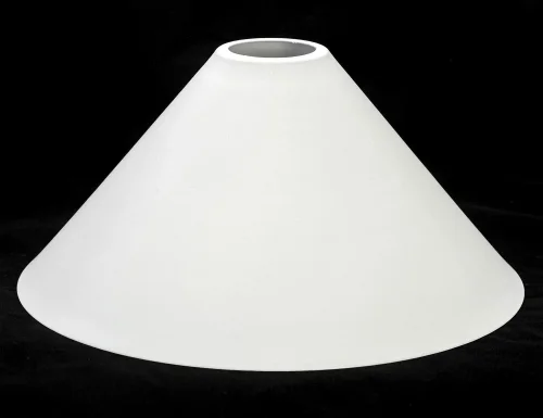 Светильник подвесной лофт Bossier LSP-8264 Lussole белый 1 лампа, основание белое в стиле лофт  фото 6