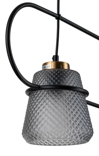 Светильник подвесной Astratto V000157 Indigo чёрный 2 лампы, основание чёрное в стиле современный  фото 3