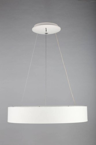 Люстра подвесная LED Enfield OML-45203-42 Omnilux белая на 1 лампа, основание белое в стиле хай-тек кольца фото 3