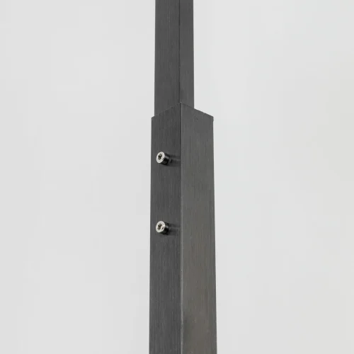 Торшер Вирта CL139932 Citilux  прозрачный 3 лампы, основание чёрное в стиле современный
 фото 9