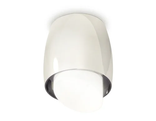 Светильник накладной Techno spot XS1143021 Ambrella light серебряный 1 лампа, основание серебряное в стиле хай-тек современный круглый