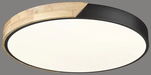 Светильник потолочный LED с пультом 445-647-01 Velante белый 1 лампа, основание коричневое чёрное в стиле современный кантри с пультом