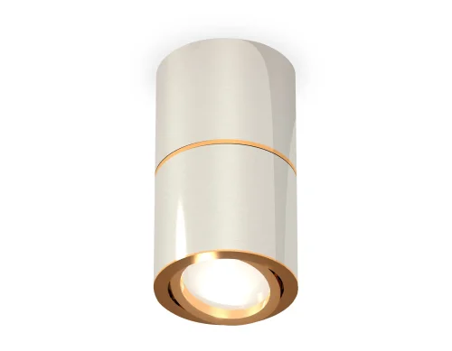 Светильник накладной Techno spot XS7405060 Ambrella light серебряный на 1 лампу, основание серебряное в стиле хай-тек современный круглый