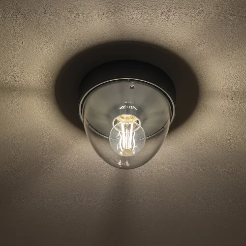 Светильник потолочный Nook 7965-NW Nowodvorski прозрачный на 1 лампу, основание графит в стиле современный фото 3