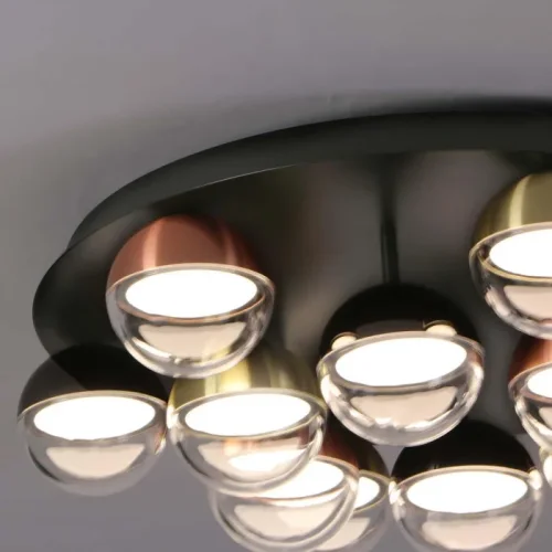 Люстра потолочная LED Luna 4371-12C Favourite прозрачная на 1 лампу, основание чёрное в стиле современный фото 3