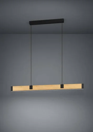 Светильник подвесной LED dimm Caminarro 390225 Eglo бежевый на 1 лампу, основание чёрное в стиле лофт современный фото 2 Светильник подвесной LED dimm Caminarro 390225 Eglo бежевый на 1 лампу, основание чёрное в стиле лофт современный фото 2