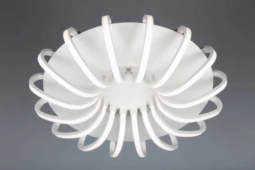 Люстра с пультом LED Furtei OML-48107-112 Omnilux белая на 1 лампу, основание белое в стиле хай-тек с пультом фото 2
