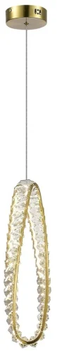 Светильник подвесной LED Olimp APL.045.06.15 Aployt прозрачный на 1 лампу, основание золотое в стиле современный 