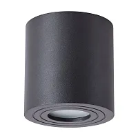 Светильник накладной Galopin A1460PL-1BK Arte Lamp чёрный 1 лампа, основание чёрное в стиле современный круглый