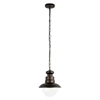 Подвесной светильник уличный Пимонт / Piemonte 100022P LOFT IT уличный IP55 чёрный на 1 лампу, плафон прозрачный в стиле классический E27 Подвесной светильник уличный Пимонт / Piemonte 100022P LOFT IT уличный IP55 чёрный на 1 лампу, плафон прозрачный в стиле классический E27