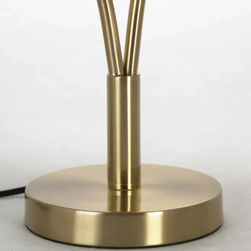 Настольная лампа Cleburne LSP-0612 Lussole белая 1 лампа, основание бронзовое металл в стиле современный  фото 5