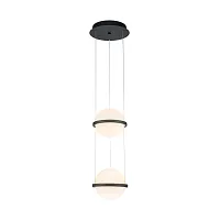 Светильник подвесной LED Ringar 4502-2P Favourite белый на 2 лампы, основание чёрное в стиле современный 