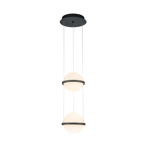 Светильник подвесной LED Ringar 4502-2P Favourite белый на 2 лампы, основание чёрное в стиле современный 