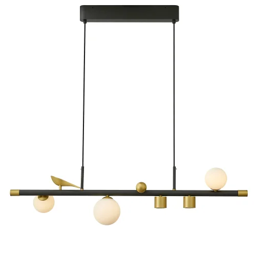 Светильник подвесной LED Sparrow 4324-5P Favourite белый на 2 лампы, основание чёрное в стиле современный 