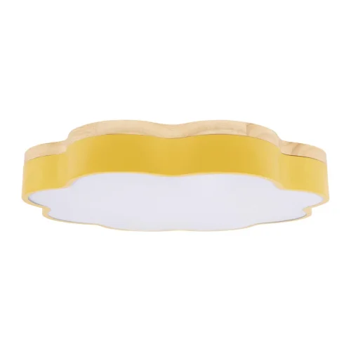 Светильник потолочный LED Axel 10225/36 Yellow LOFT IT белый 1 лампа, основание жёлтое в стиле современный  фото 3