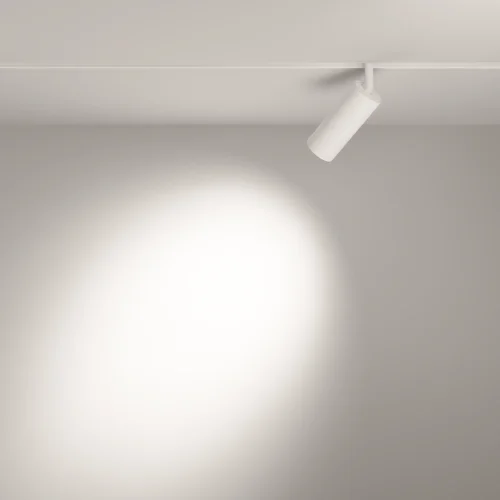 Трековый светильник LED Magnetic track system Exility TR032-2-12W3K-S-W Maytoni белый для шинопроводов серии Magnetic track system Exility белый фото 13