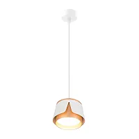 Светильник подвесной Amaks A8028SP-1WH Arte Lamp белый на 1 лампу, основание белое в стиле современный 