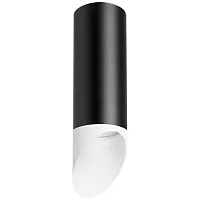 Светильник накладной Rullo R48736 Lightstar чёрный белый 1 лампа, основание чёрное в стиле хай-тек круглый