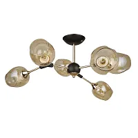 Люстра потолочная Seppia A4211PL-6BK Arte Lamp янтарная на 6 ламп, основание чёрное в стиле современный классический 