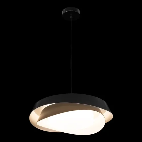 Светильник подвесной LED Petale 10256P Black LOFT IT чёрный на 1 лампу, основание чёрное в стиле современный фото 4