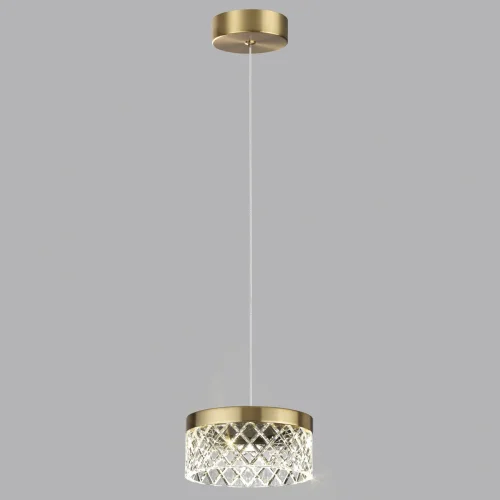 Светильник подвесной LED Fivre 5032/6L Odeon Light прозрачный 1 лампа, основание античное бронза в стиле современный встраиваемый фото 6