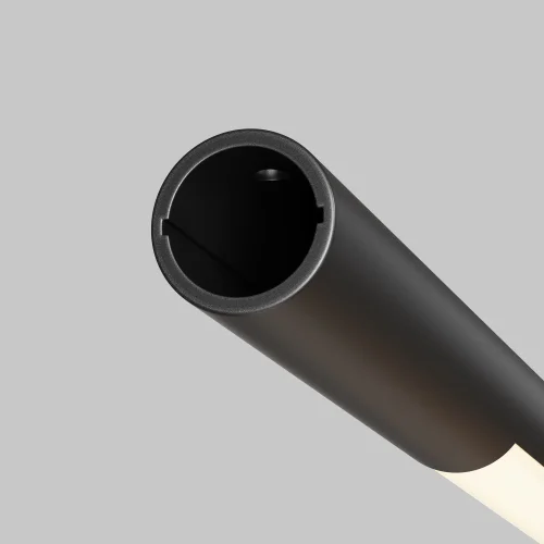 Светильник Basis для штанговой системы освещения Axity 3000-6000К 24Вт 120° C100CL-L1000-24W3-6K-B Maytoni чёрный для шинопроводов серии Axity Maytoni чёрный фото 5