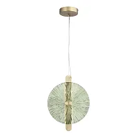 Светильник подвесной LED Wasi SL6141.323.01 ST-Luce зелёный на 1 лампу, основание бронзовое в стиле современный 