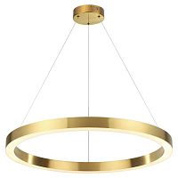 Светильник подвесной LED Brizzi 3885/45LG Odeon Light золотой 1 лампа, основание золотое в стиле хай-тек современный кольца