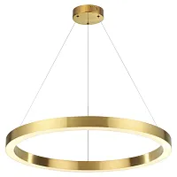 Светильник подвесной LED Brizzi 3885/45LG Odeon Light золотой 1 лампа, основание золотое в стиле хай-тек современный кольца