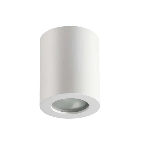 Светильник накладной Aquana 3571/1C Odeon Light белый на 1 лампу, основание белое в стиле хай-тек 