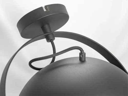 Трековый светильник однофазный лофт LSP-9825-TAW Lussole чёрный для шинопроводов серии Sherrelwood фото 5