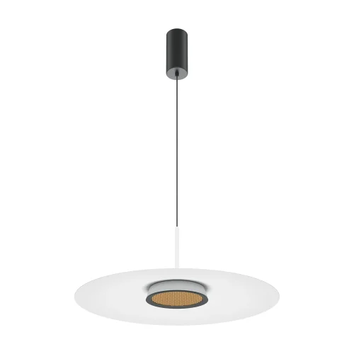 Светильник подвесной LED El MOD041PL-L15W3K1 Maytoni белый на 1 лампу, основание чёрное в стиле минимализм современный 