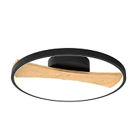 Светильник потолочный LED Lodi 723027 Lightstar чёрный коричневый 1 лампа, основание коричневое чёрное в стиле хай-тек кольца