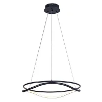 Светильник подвесной LED Rotonda 736517 Lightstar чёрный 1 лампа, основание чёрное в стиле современный кольца