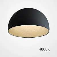 Светильник потолочный BARA B D50 Black 4000К 224004-23 ImperiumLoft чёрный на 1 лампу, основание коричневое в стиле современный скандинавский минимализм 