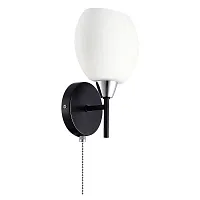 Бра с выключателем Флорида CL148315 Citilux белый 1 лампа, основание чёрное в стиле современный 