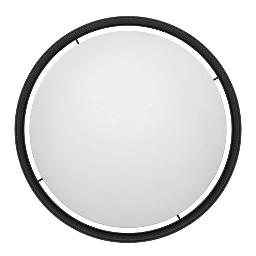 Светильник потолочный LED Luppineria 900795 Eglo белый чёрный на 1 лампу, основание чёрное в стиле современный фото 5 Светильник потолочный LED Luppineria 900795 Eglo белый чёрный на 1 лампу, основание чёрное в стиле современный фото 5