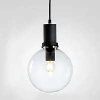 Светильник подвесной PENBALL D20 Black 212848-26 ImperiumLoft прозрачный на 1 лампу, основание чёрное в стиле лофт современный 