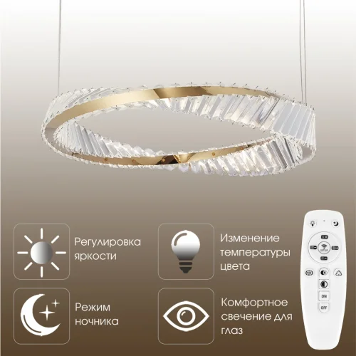 Люстра подвесная LED с пультом AM-Venezia 318311/D600 GD Arte Milano прозрачная на 1 лампу, основание золотое в стиле современный кольца с пультом фото 13
