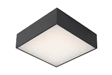 Светильник потолочный LED Roxane 27816/10/29 Lucide чёрный 1 лампа, основание чёрное в стиле современный квадраты