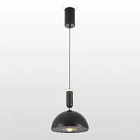 Светильник подвесной LED Irvine LSP-7292 Lussole чёрный 1 лампа, основание чёрное в стиле хай-тек современный 