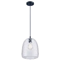 Светильник подвесной лофт ASHANTI 1260.1 Lucia Tucci прозрачный 1 лампа, основание чёрное в стиле лофт выдувное