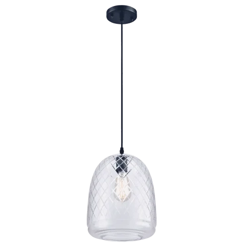 Светильник подвесной лофт ASHANTI 1260.1 Lucia Tucci прозрачный 1 лампа, основание чёрное в стиле лофт выдувное