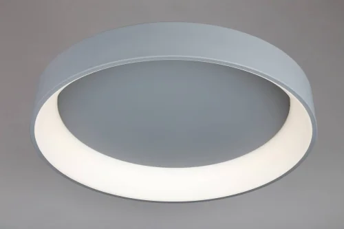 Люстра с пультом LED Ortueri OML-48517-96 Omnilux белая на 1 лампу, основание серое в стиле хай-тек с пультом фото 2