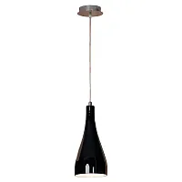 Светильник подвесной Rimini GRLSF-1196-01 Lussole чёрный 1 лампа, основание хром в стиле современный 