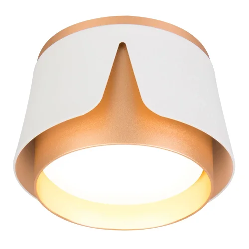 Светильник накладной Amaks A8028PL-1WH Arte Lamp белый на 1 лампу, основание белое в стиле современный круглый