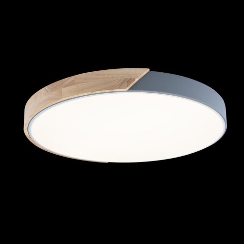 Светильник потолочный LED Axel 10004/36 Grey LOFT IT белый 1 лампа, основание серое бежевое в стиле современный  фото 5