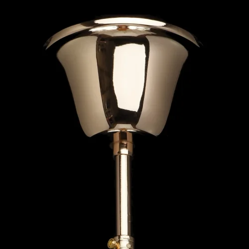 Люстра подвесная Одетта 405010810 Chiaro без плафона на 10 ламп, основание жёлтое золотое в стиле классический  фото 9